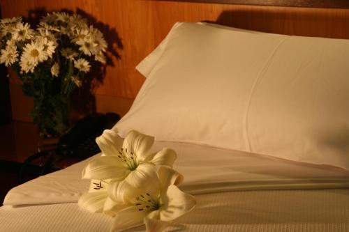 Residencia Universitaria Micampus Oviedo La Gruta 部屋 写真